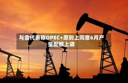 与会代表称OPEC+原则上同意6月产量配额上调