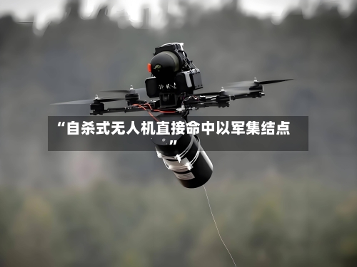 “自杀式无人机直接命中以军集结点”-第2张图片