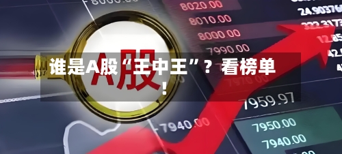 谁是A股“王中王”？看榜单！-第3张图片