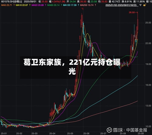 葛卫东家族，221亿元持仓曝光