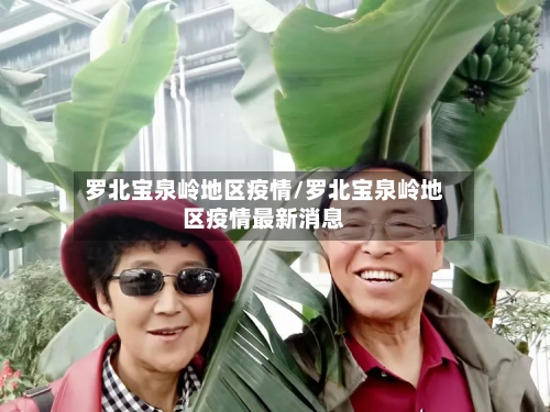 罗北宝泉岭地区疫情/罗北宝泉岭地区疫情最新消息