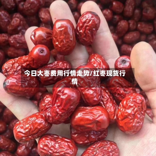今日大枣费用行情走势/红枣现货行情