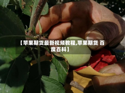 【苹果期货最新视频教程,苹果期货 百度百科】-第3张图片