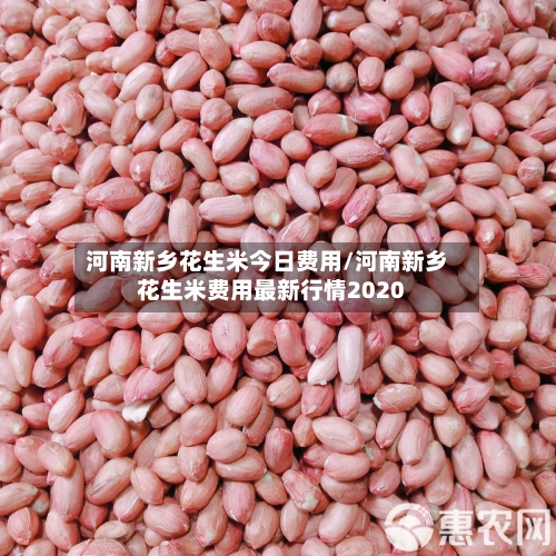 河南新乡花生米今日费用/河南新乡花生米费用最新行情2020