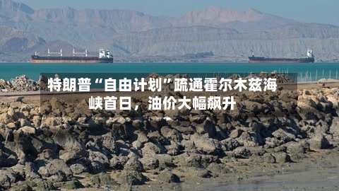 特朗普“自由计划”疏通霍尔木兹海峡首日	，油价大幅飙升-第2张图片