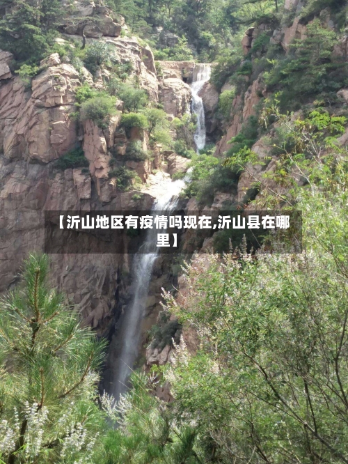 【沂山地区有疫情吗现在,沂山县在哪里】-第3张图片