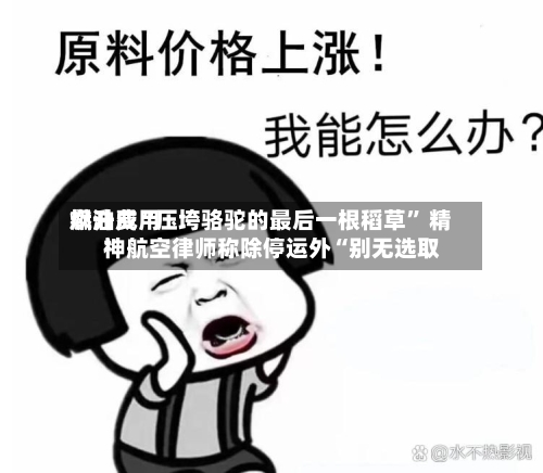 燃油费用飙升成“压垮骆驼的最后一根稻草	” 精神航空律师称除停运外“别无选取”-第3张图片