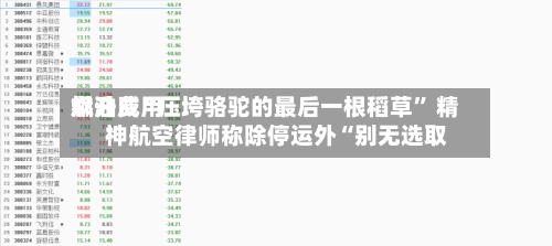 燃油费用飙升成“压垮骆驼的最后一根稻草” 精神航空律师称除停运外“别无选取”-第2张图片