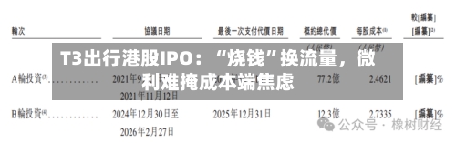 T3出行港股IPO：“烧钱	”换流量，微利难掩成本端焦虑-第2张图片