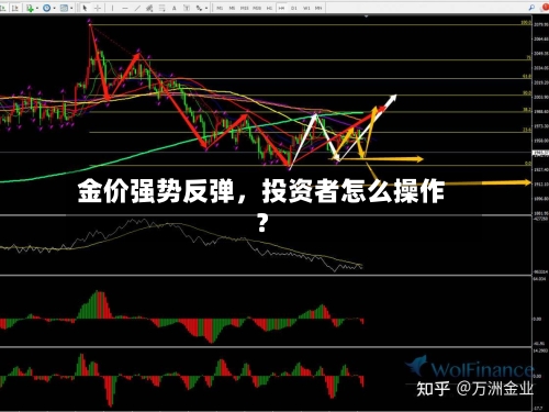 金价强势反弹，投资者怎么操作？-第3张图片