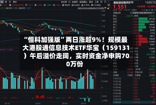 “恒科加强版”两日涨超9%！规模最大港股通信息技术ETF华宝（159131）午后溢价走阔	，实时资金净申购700万份-第3张图片