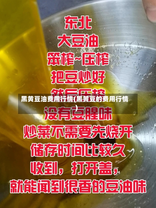 黑黄豆油费用行情(黑黄豆的费用行情)