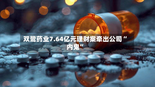 双鹭药业7.64亿元理财案牵出公司“内鬼”-第3张图片