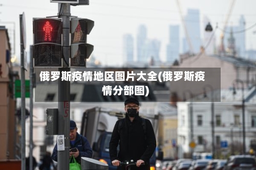 俄罗斯疫情地区图片大全(俄罗斯疫情分部图)-第2张图片