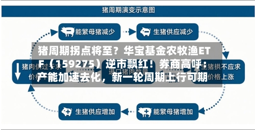 猪周期拐点将至？华宝基金农牧渔ETF（159275）逆市飘红！券商高呼：产能加速去化，新一轮周期上行可期-第2张图片