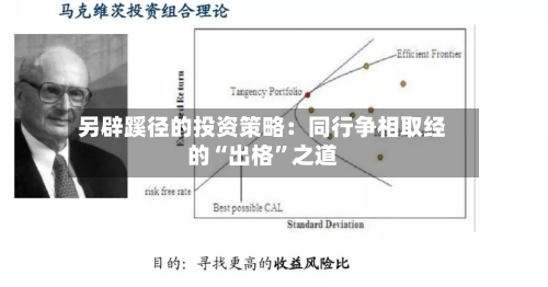 另辟蹊径的投资策略：同行争相取经的“出格”之道-第2张图片