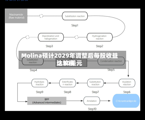 Molina预计2029年调整后每股收益比较高达30美元-第2张图片