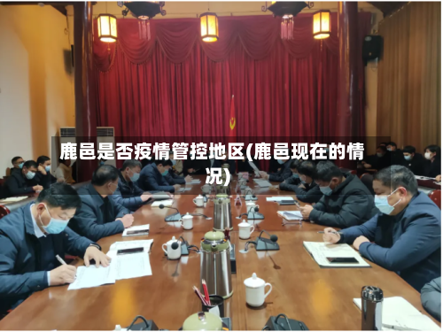 鹿邑是否疫情管控地区(鹿邑现在的情况)-第2张图片