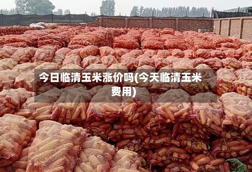 今日临清玉米涨价吗(今天临清玉米费用)-第2张图片