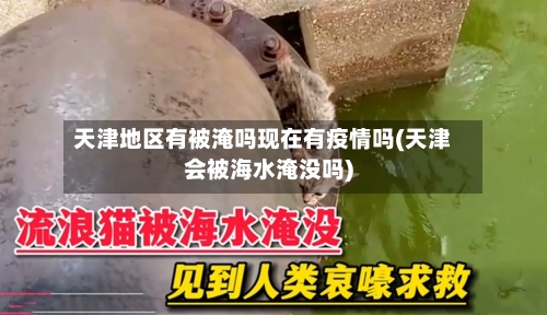 天津地区有被淹吗现在有疫情吗(天津会被海水淹没吗)-第2张图片