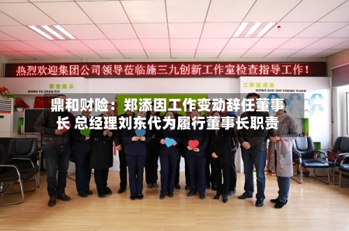 鼎和财险:郑添因工作变动辞任董事长 总经理刘东代为履行董事长职责-第2张图片