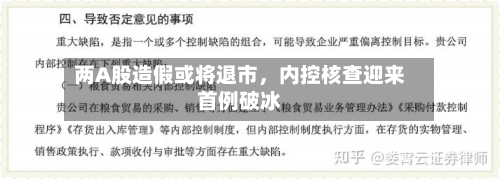 两A股造假或将退市，内控核查迎来首例破冰-第2张图片