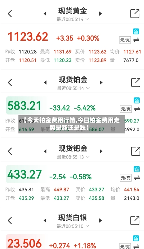 【今天铂金费用行情,今日铂金费用走势是涨还是跌】