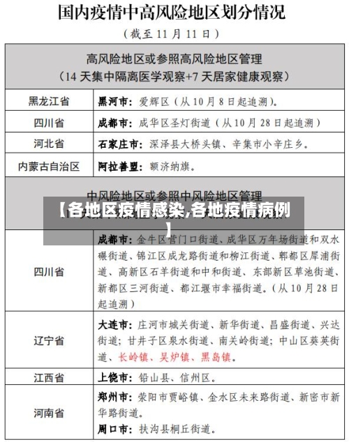 【各地区疫情感染,各地疫情病例】-第2张图片