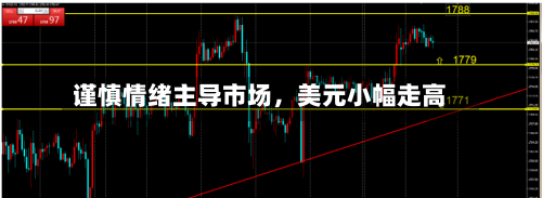 谨慎情绪主导市场，美元小幅走高