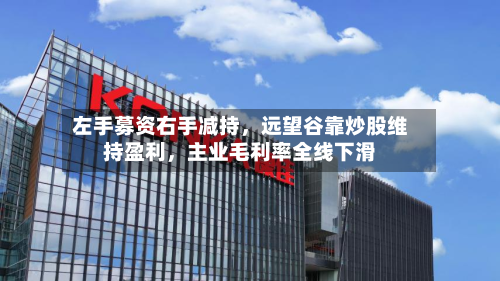 左手募资右手减持，远望谷靠炒股维持盈利	，主业毛利率全线下滑-第2张图片