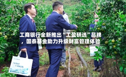 工商银行全新推出“工盈研选	”品牌，国泰基金助力升级财富管理体验-第3张图片