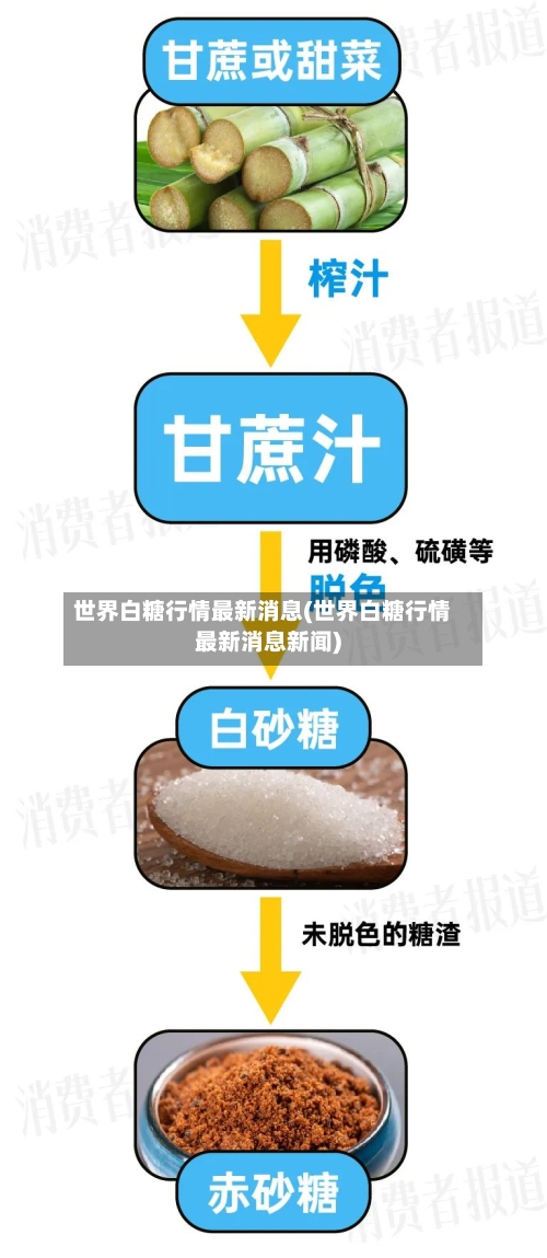 世界白糖行情最新消息(世界白糖行情最新消息新闻)