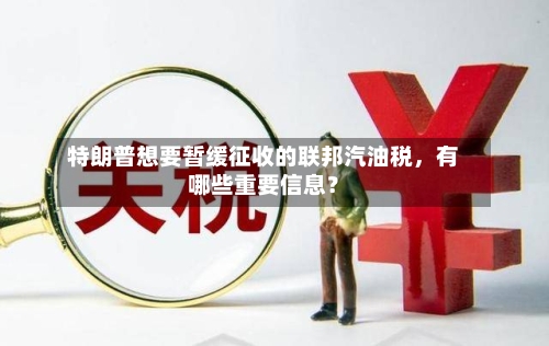 特朗普想要暂缓征收的联邦汽油税，有哪些重要信息？-第2张图片