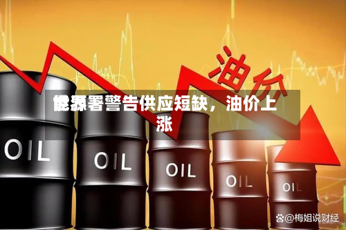 世界能源署警告供应短缺，油价上涨-第2张图片