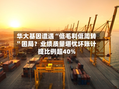 华大基因遭遇“低毛利低周转”困局？业绩质量堪忧坏账计提比例超40%-第3张图片