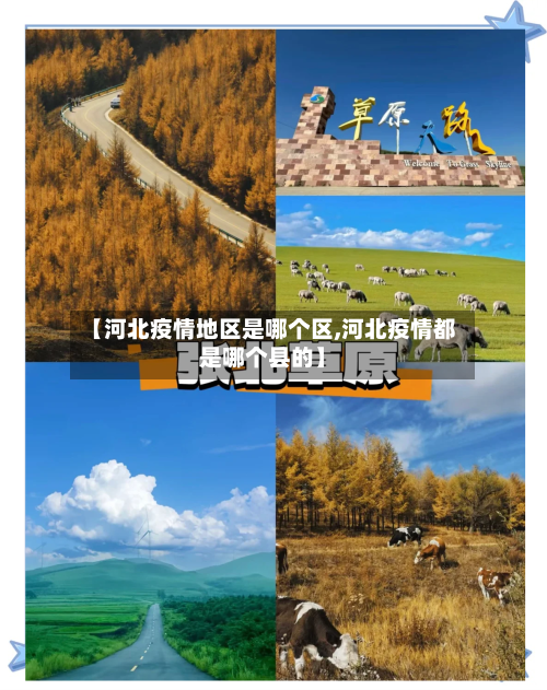 【河北疫情地区是哪个区,河北疫情都是哪个县的】