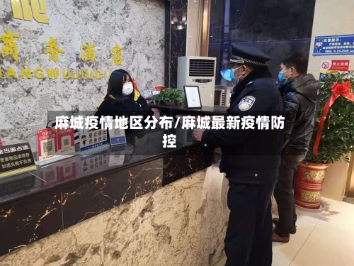 麻城疫情地区分布/麻城最新疫情防控-第3张图片