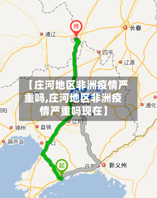 【庄河地区非洲疫情严重吗,庄河地区非洲疫情严重吗现在】-第3张图片
