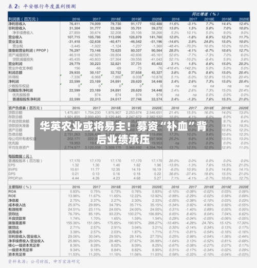 华英农业或将易主！募资“补血	”背后业绩承压-第2张图片