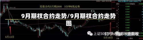 9月期权合约走势/9月期权合约走势图-第2张图片