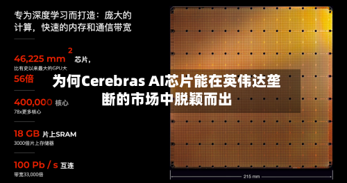 为何Cerebras AI芯片能在英伟达垄断的市场中脱颖而出-第2张图片
