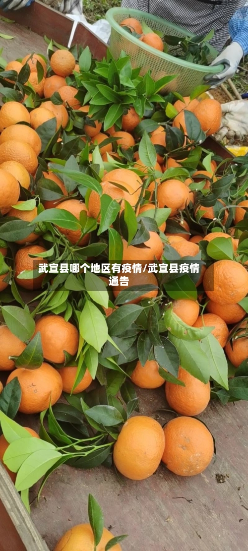 武宣县哪个地区有疫情/武宣县疫情通告-第2张图片