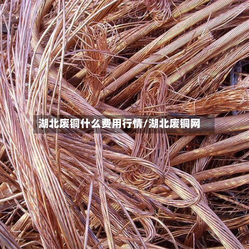 湖北废铜什么费用行情/湖北废铜网