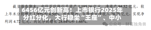 6456亿元创新高！上市银行2025年分红分化，大行稳坐“王座	”、中小行冷暖不均-第3张图片