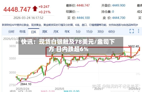 快讯:现货白银触及78美元/盎司下方 日内跌超6%-第2张图片