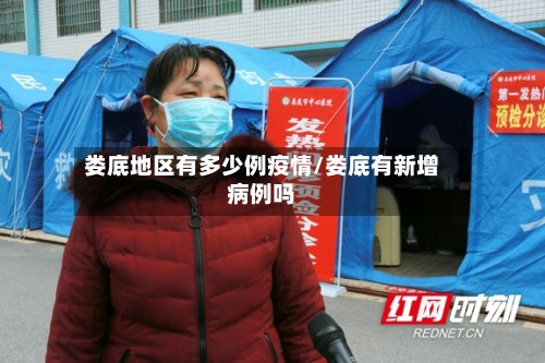 娄底地区有多少例疫情/娄底有新增病例吗-第2张图片