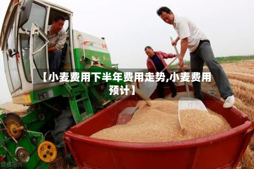 【小麦费用下半年费用走势,小麦费用预计】-第2张图片