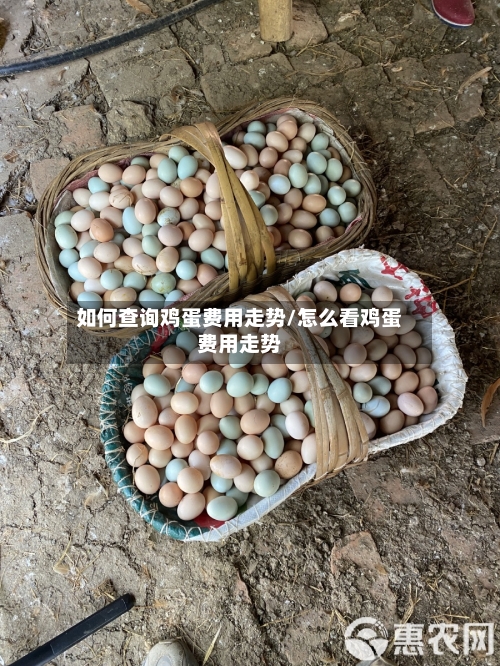 如何查询鸡蛋费用走势/怎么看鸡蛋费用走势-第2张图片