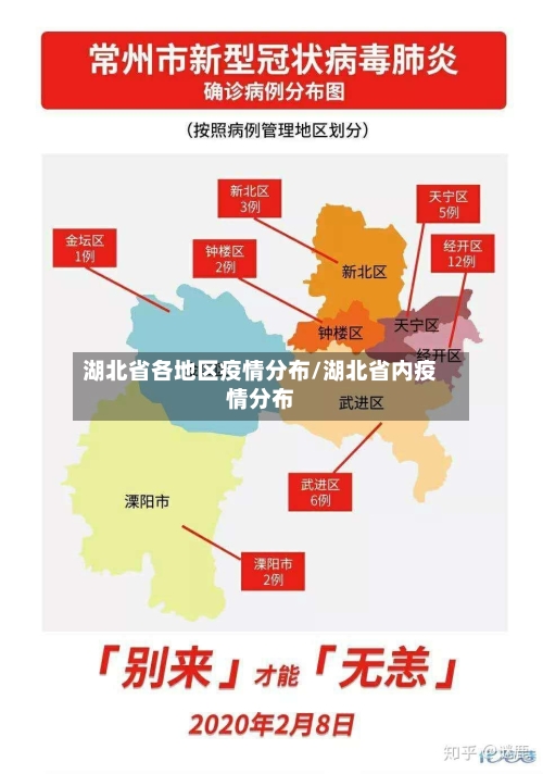 湖北省各地区疫情分布/湖北省内疫情分布