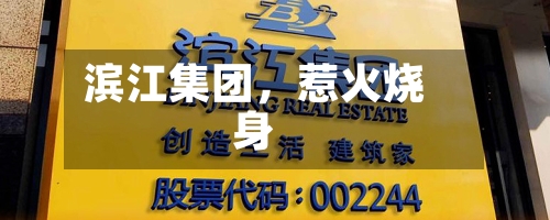 滨江集团，惹火烧身-第2张图片